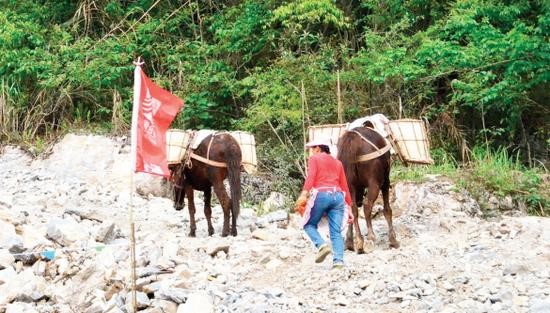 青岛骡子运输队
